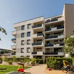 Rent 1 bedroom apartment of 49 m² in Berlin