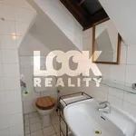 Rent 5 bedroom apartment of 145 m² in Capital City of Prague