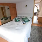 Rent 3 bedroom apartment of 57 m² in Szczecin