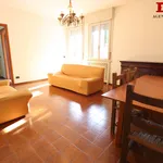 Rent 3 bedroom apartment of 85 m² in Roncoferraro