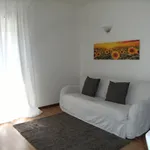 Rent 1 bedroom apartment of 40 m² in Vicenza