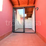 Rent 4 bedroom apartment of 110 m² in Catania