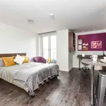 Rent 1 bedroom student apartment of 25 m² in Sheffield