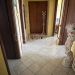 Rent 3 bedroom apartment of 75 m² in Piedimonte San Germano