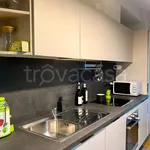 Rent 2 bedroom apartment of 60 m² in Milano