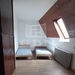 Rent 9 bedroom apartment of 250 m² in Gyál