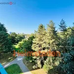 Rent 4 bedroom apartment of 67 m² in Trhový Štěpánov