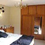 Rent 6 bedroom apartment in Christchurch