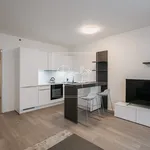 Rent 1 bedroom apartment of 29 m² in Prague