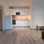 Rent 2 bedroom apartment in Capital City of Prague