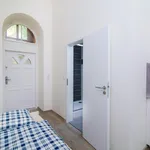 Rent 1 bedroom apartment in Prague