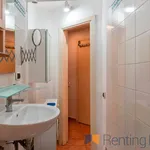 Rent 1 bedroom apartment of 35 m² in Roma