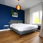 Rent 3 bedroom apartment of 85 m² in Den Haag