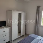 Rent 2 bedroom apartment of 50 m² in Olbia