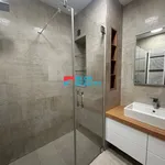 Rent 3 bedroom apartment of 77 m² in Frýdek-Místek