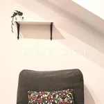 Rent 1 bedroom apartment of 25 m² in Torino