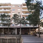 Alquilar 4 dormitorio apartamento en Barcelona