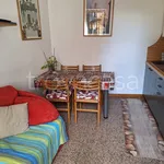 Rent 1 bedroom apartment of 38 m² in Gallarate