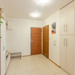 Pronájem bytu 2+1, 68 m², Pod Nemocnicí, Rakovník