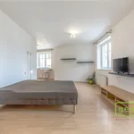 Pronajměte si 1 ložnic/e byt o rozloze 45 m² v Strančice