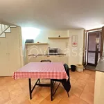 Rent 2 bedroom apartment of 40 m² in Torino