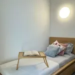 Rent a room in madrid