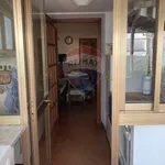 Rent 7 bedroom apartment of 133 m² in Viareggio