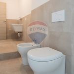 Porzione di casa in Affitto Viadana 33631032-78 | RE/MAX Italia