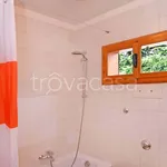 Rent 3 bedroom apartment of 70 m² in Treviso