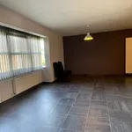 Rent 2 bedroom apartment in Geel