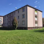 Rent 1 bedroom apartment in Vsetín