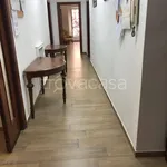 Rent 3 bedroom apartment of 130 m² in Roma