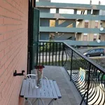 Rent 1 bedroom apartment in Rome