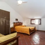 Rent 2 bedroom apartment of 50 m² in Marsala