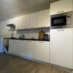 Rent 1 bedroom apartment of 56 m² in zwolle