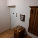 Rent 3 bedroom apartment in Plzeň-jih