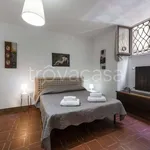 Rent 2 bedroom apartment of 50 m² in Firenze