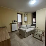 Rent 3 bedroom apartment of 76 m² in Caselle Torinese