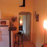 Rent 1 bedroom apartment in Rome