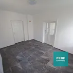 Rent 2 bedroom apartment in Plzeň