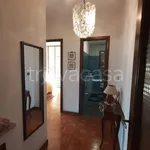 Rent 5 bedroom apartment of 112 m² in Perugia