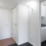 Rent 1 bedroom apartment in Porto