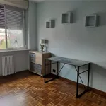 Rent 2 bedroom apartment of 75 m² in casale monferrato