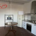 Rent 1 bedroom apartment of 60 m² in Montevarchi