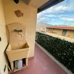 Rent 3 bedroom apartment of 60 m² in Partinico