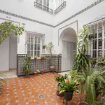 Rent 1 bedroom apartment of 50 m² in seville