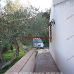 Rent 5 bedroom house of 190 m² in Cefalù