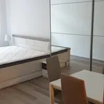 Rent 2 bedroom apartment of 56 m² in Prague