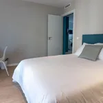 Rent 2 bedroom apartment in Madrid