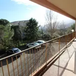 Rent 3 bedroom apartment of 78 m² in Bastia